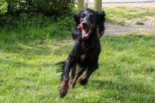 Perrine MULLER - PERIINE MULLER PHOTOGRAPHE