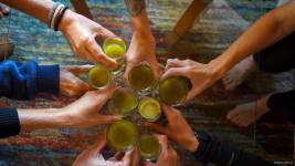 Alexandre LABADIE - LABADIE ALEXANDRE