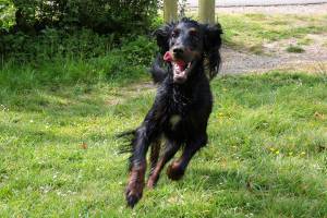 Perrine MULLER - PERIINE MULLER PHOTOGRAPHE