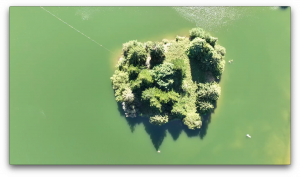 Mahefasoa PINEAU - LAED Compagnie